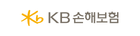 KB손해보험.png